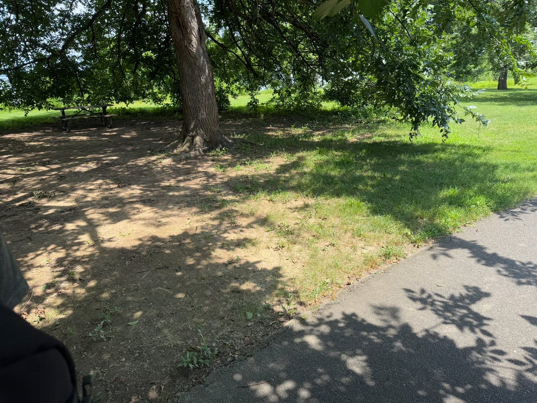 Picnic tables, grills, and trash cans on grass at Belle Haven Park, none wheelchair accessible