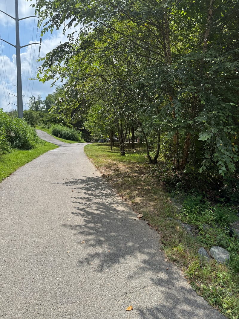 A long, flat paved walking and biking trail at Bluemont Park