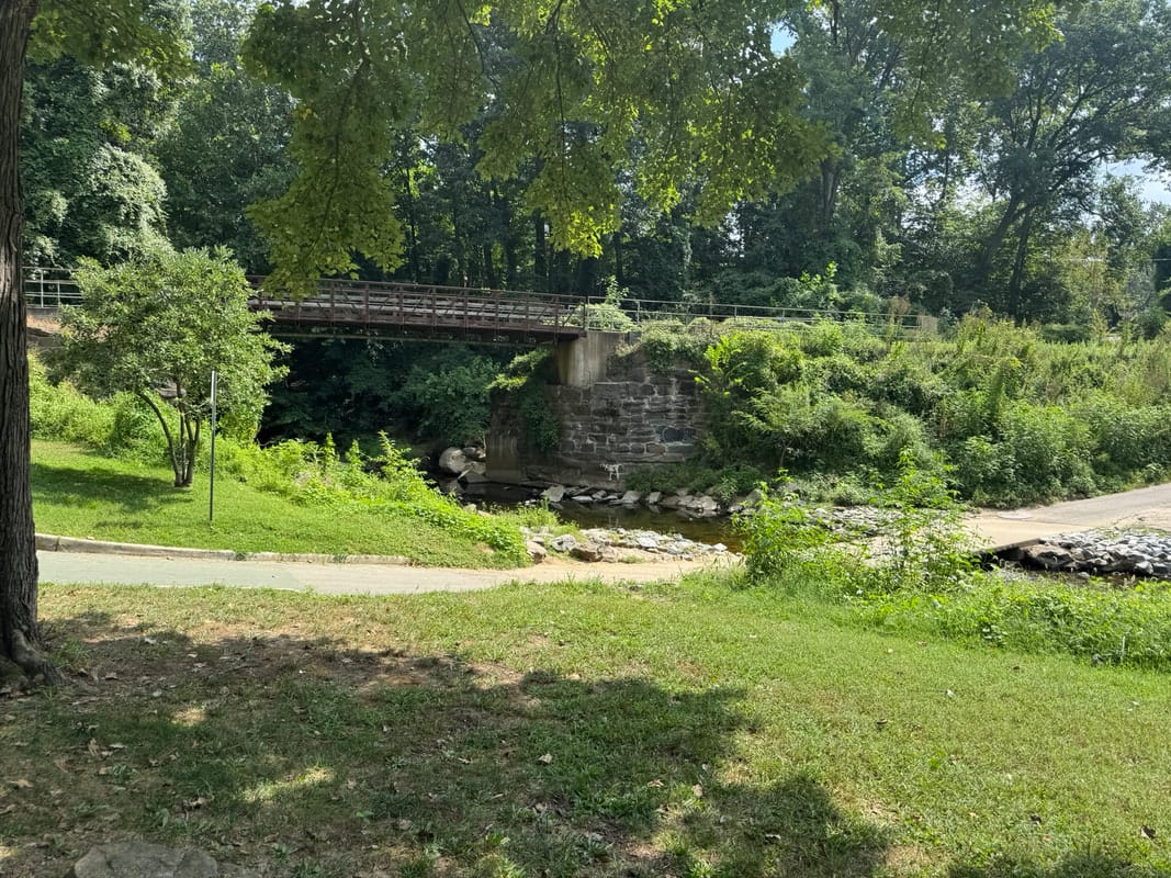 A paved, shaded accessible trail at Glencarlyn Park