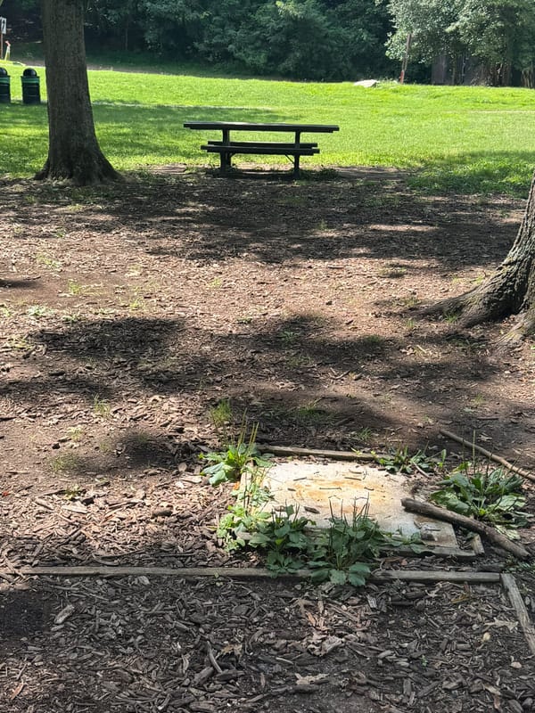 Additional picnic tables on grass at Great Falls National Park