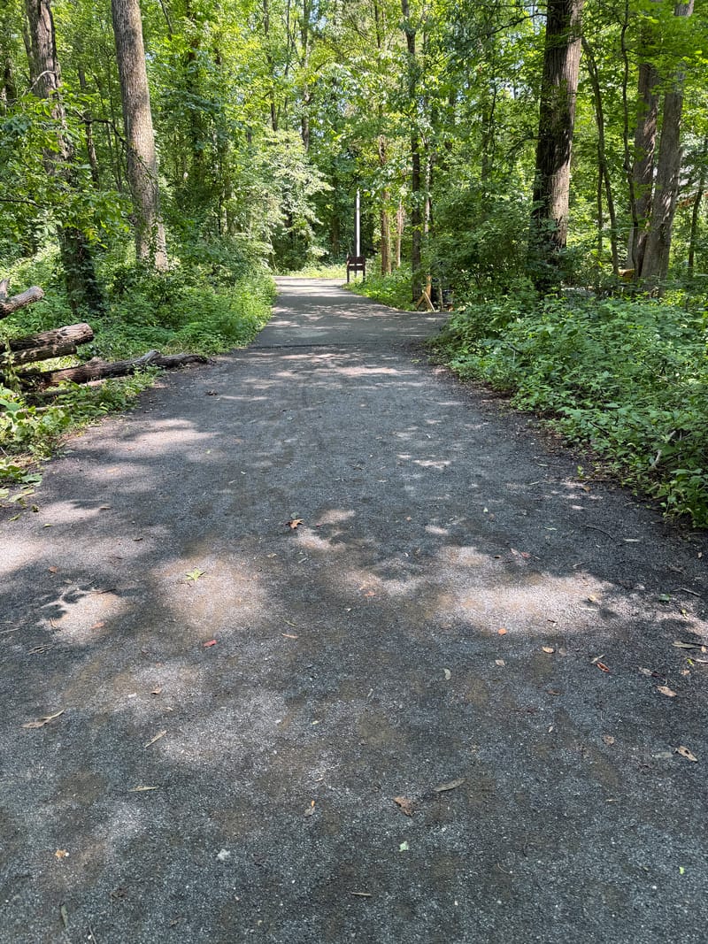 A paved accessible trail beginning at the edge of the parking lot at Huntley Meadows Park
