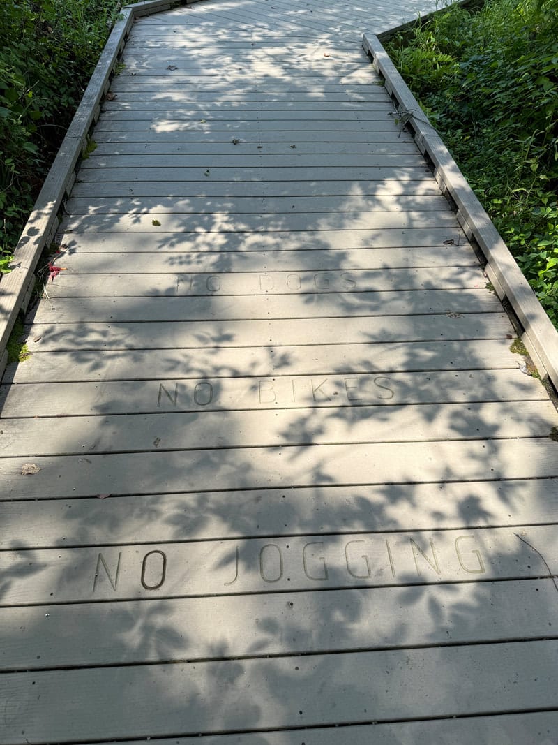The long, flat nature boardwalk winding through the meadow at Huntley Meadows Park