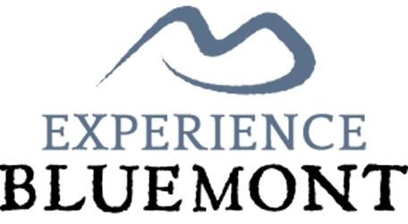 Experience Bluemont
